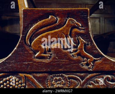 A carved bench end at Rug Chapel, Denbighshire, Wales, UK, showing an animal like a large squirrel or weasel defending itself against a smaller dog. Stock Photo