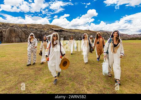 Women dressed in alpaca llama onesies in Cusco, Peru, South America Copyright: LauraxGrier 1218-1743 Stock Photo