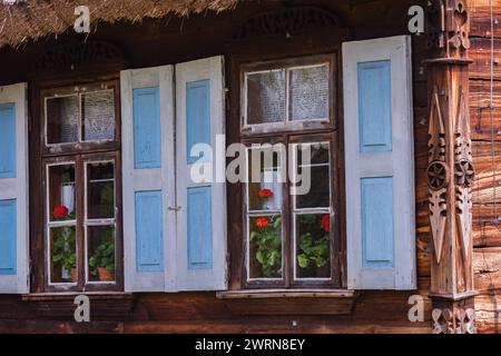 A window of an old country house with wooden shutters and flowers behind the glass Stock Photo
