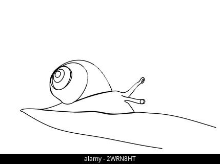 Snail, one line drawing animation with alpha channel. Stock Vector