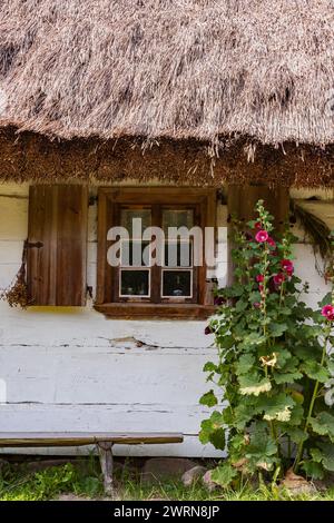 A window of an old country house with wooden shutters and flowers behind the glass Stock Photo