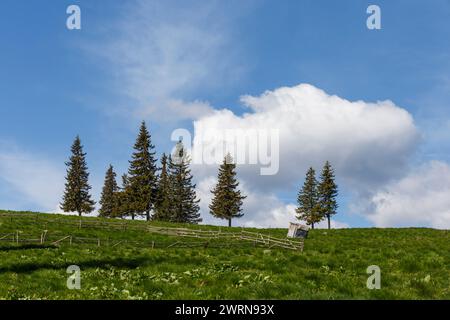Beautiful mountains landscape in Carpathian mountains, Romania Stock Photo