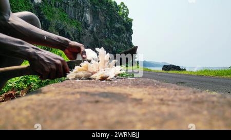 View of an African man with a machete cutting a coconut, with Santa Catarina tunnel as a background in Sao Tome, Africa Stock Photo