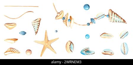 Set of small sea shells and stones, sea pebbles and wooden stocks ...