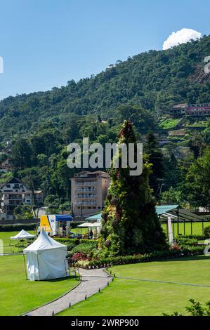 A decorated christmas tree on Quitandinha Palace green gardens between the lake and the palace under summer afternoon sunny clouded blue sky. Stock Photo