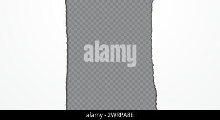 White empty jagged sheet isolated on transparent background Stock Vector