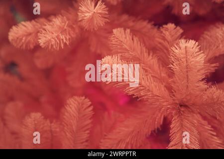 Side view of pink Christmas tree, background with copy space. Tree branches with selective focus, bokeh. Concept of textured background, greeting cards, congratulation, decor, wallpaper. Stock Photo