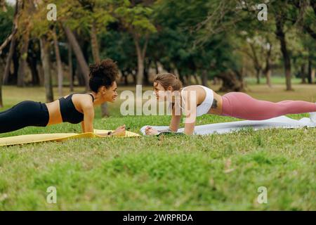 Young women outdoor in park standing in plank pose doing push ups or press ups exercise Stock Photo