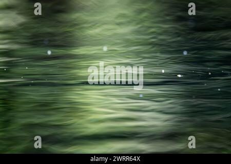 Beautiful green forest reflect show on the blurry ripple pond surface Stock Photo