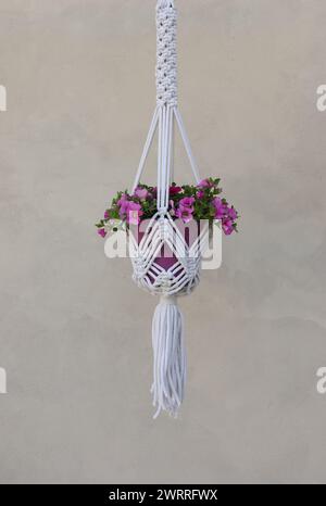 white macrame plant hanger isolated on grey wall, home decor Stock Photo