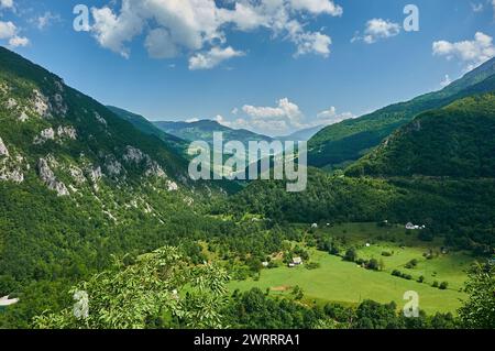 Montenegro. Tara river canyon. Mountains and forests on the slopes of the mountains. Stock Photo
