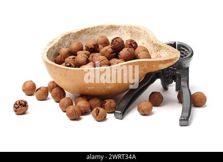 shagbark hickory nuts on white background Stock Photo