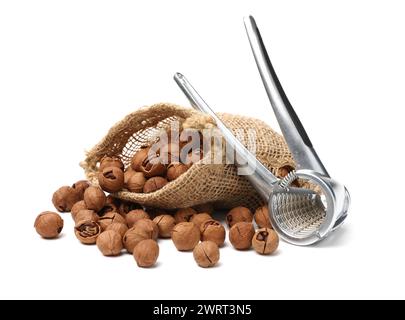 shagbark hickory nuts on white background Stock Photo