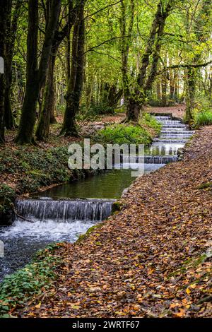 The Tehidy Stream flowing over a series of cascades in Tehidy Woods Country Park in Cornwall in the UK. Stock Photo