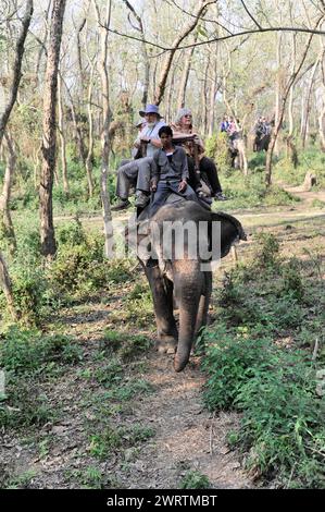 A group of tourists experience an elephant ride in the jungle, Chitwan National Park, Nepal Stock Photo