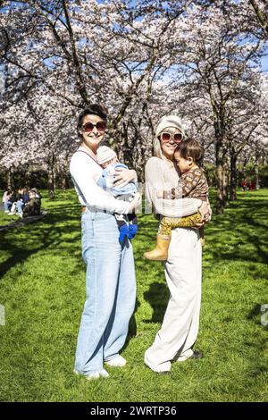 AMSTELVEEN - Visitors during the blooming of the Japanese cherry blossom trees are in the Bloesempark in the Amsterdamse Bos. The blossoms attract a lot of attention from home and abroad during the flowering months of March and April. ANP DINGENA MOL netherlands out - belgium out Stock Photo