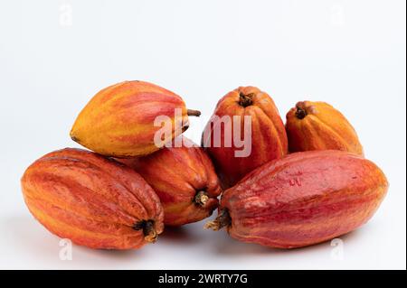 Pile of wet yellow cacao pods isolated on white studio background Stock Photo