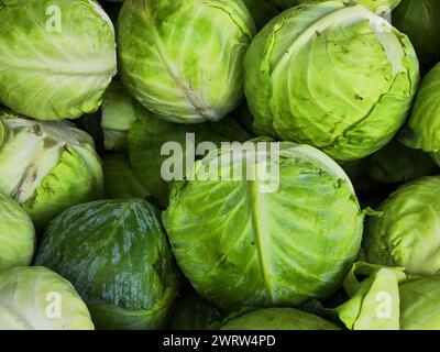 Assorted Brussels sprouts and cabbages at market Stock Photo
