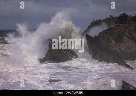 Giant waves crashing against the rocks in Shore Acres, Oregon creating a spectacular landscape specially during the winter months when the storms move Stock Photo