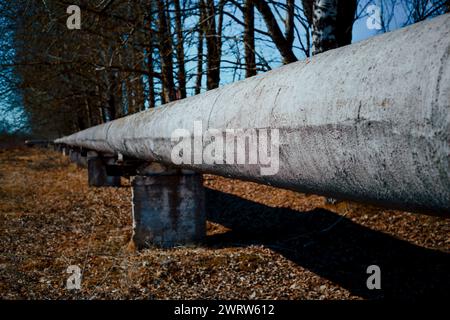 Concrete old pipe located in the forest Stock Photo