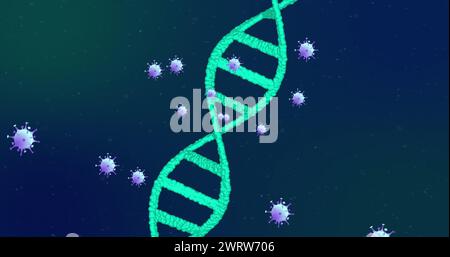 Image of covid 19 cells moving and dna strand spinning Stock Photo