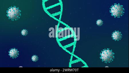 Image of covid 19 cells moving and dna strand spinning Stock Photo