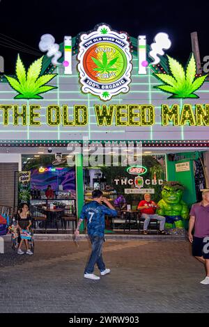 Cannabis neon sign at a shop in Barcelona, Spain Stock Photo - Alamy