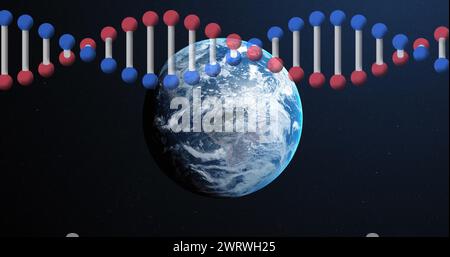 Image of dna strand spinning over globe Stock Photo