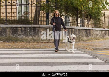 Blind woman crossing the street with help of guide dog Stock Photo - Alamy