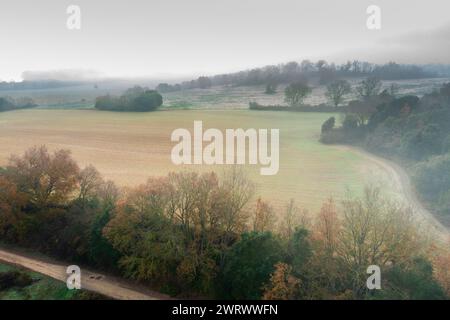 Aerial view of cultivated plots and hedges in autumn with fog. Stock Photo
