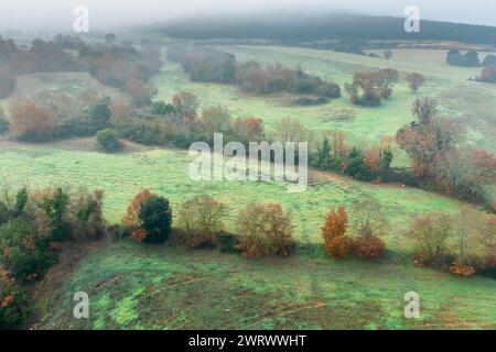 Aerial view of cultivated plots and hedges in autumn with fog. Stock Photo