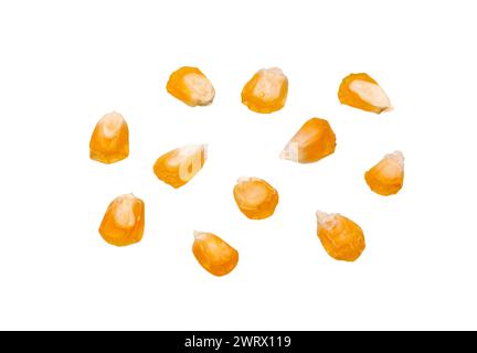 Corn seeds isolated on white background. Kernel corn close-up. Collection of dry yellow corn grains. Stock Photo