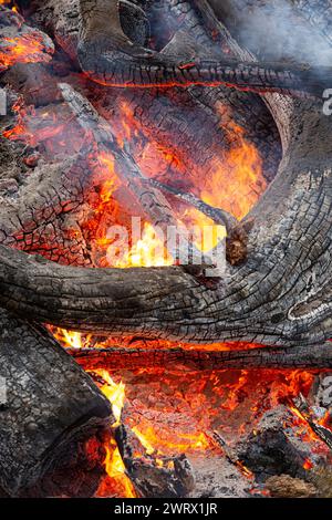 Close up of wood fire with flames and hot coals Stock Photo