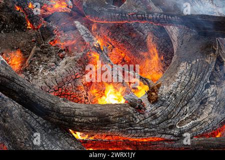 Burning timber fire with flames Stock Photo