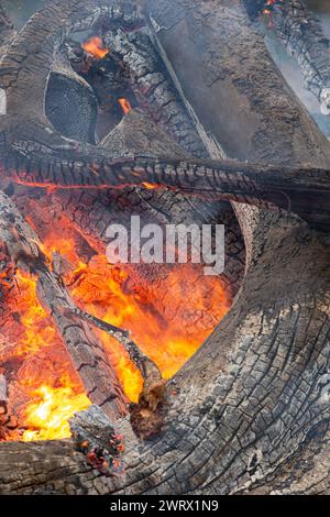 Wood fire with flames and charcoal Stock Photo