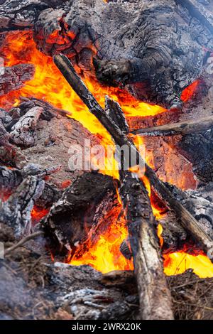 Wood fire with Flames Stock Photo