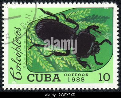 Beetles stamps collection Stock Photo - Alamy
