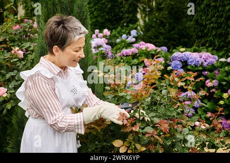 mature joyous beautiful woman with short hair using gardening tools to take care of lively rosehip Stock Photo