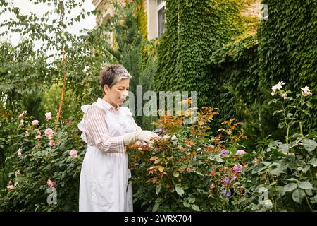 mature cheerful beautiful woman with short hair using gardening tools to take care of lively rosehip Stock Photo