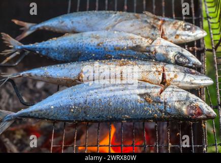 Fried on the grill fish mackerel in nature. Cooking on the grill. Stock Photo