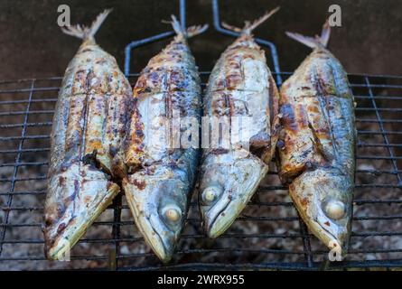 Fried on the grill fish mackerel in nature. Cooking on the grill. Stock Photo