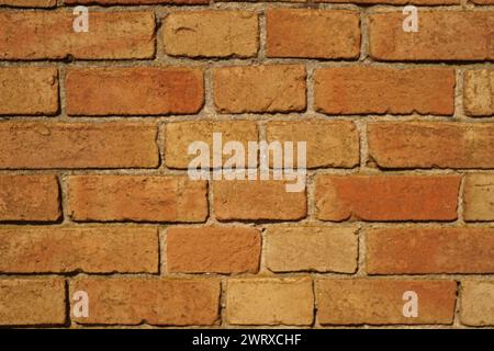 Old red brick wall background in warm sunlight. Stock Photo