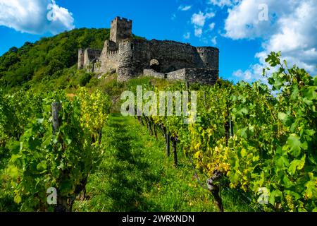 Castle Hinterhaus in Spitz Wachau Austria with Danube river and vineyards Stock Photo
