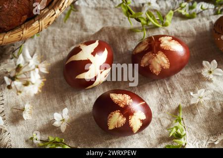 Three brown Easter egg dyed with onion peels with a pattern of fresh leaves on a table Stock Photo