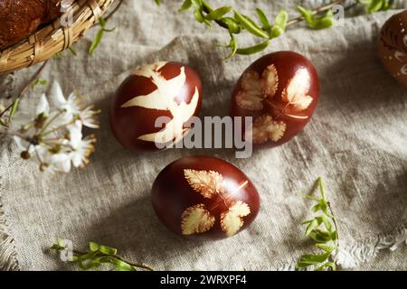 Three brown Easter egg dyed with onion skins with a pattern of fresh leaves, with spring flowers Stock Photo