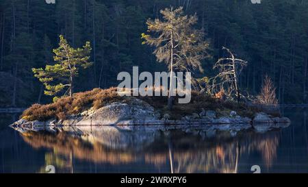 Trees on small island reflecting in water lake surface in the morning sun Stock Photo