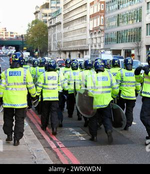 Metropolitan riot police on duty in London Stock Photo - Alamy
