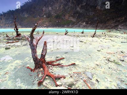 Kawah Putih or White Crater, a volcanic sulphur lake in Ciwidey, Bandung, West Java, Indonesia. Stock Photo