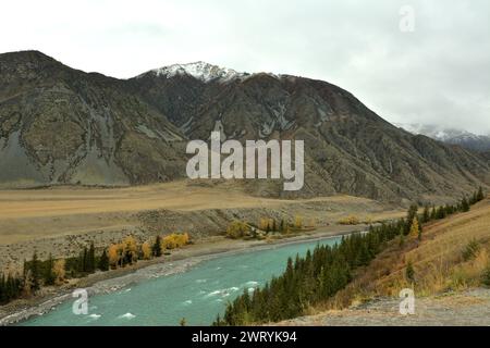 A wide turquoise river in a stormy stream crosses a beautiful autumn valley surrounded by snow-capped mountain peaks. Katun river, Altai, Siberia, Rus Stock Photo