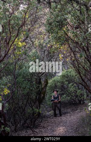 A female hiker in the dense understory of a madrone forest in Henry W. Coe state park in California. Stock Photo